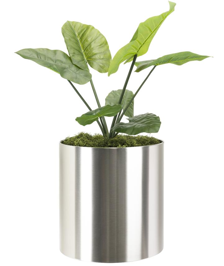 Medium Metal Plant Pot
